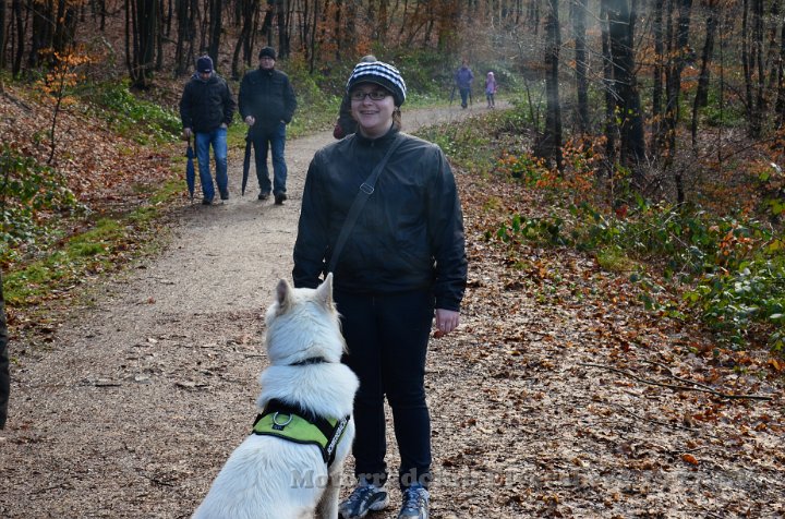 Wandertag 2012 - 083.JPG